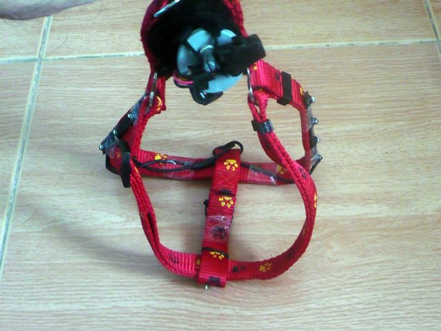 Flashing LED Dog Harness