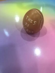The Final Egg