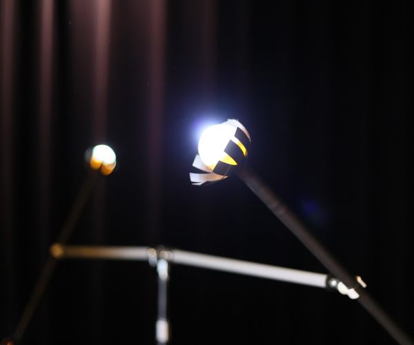 D4E1 - the Flower Mill - Circus for EveryOne