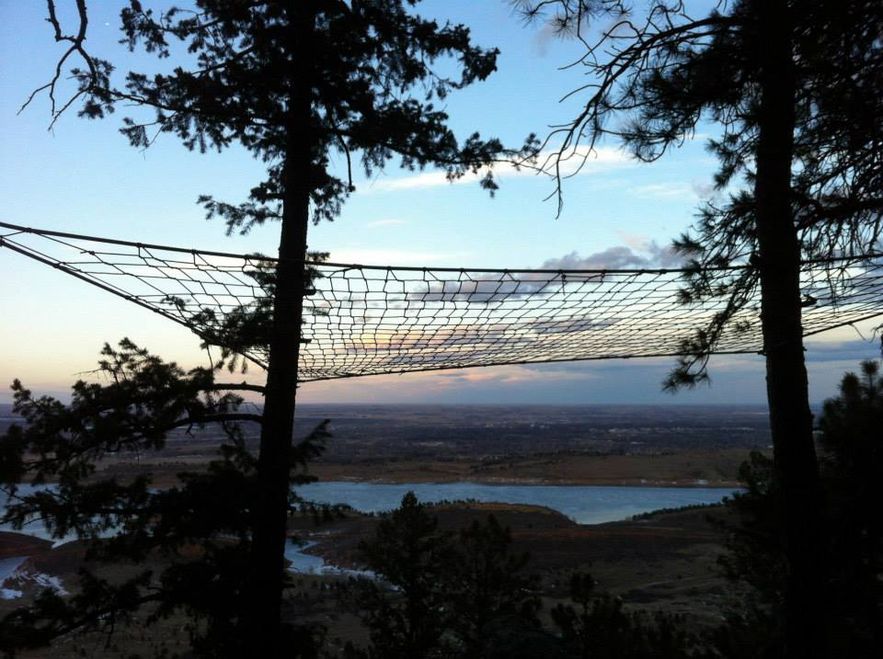 Tree Net : 5 Steps (with Pictures) - Instructables