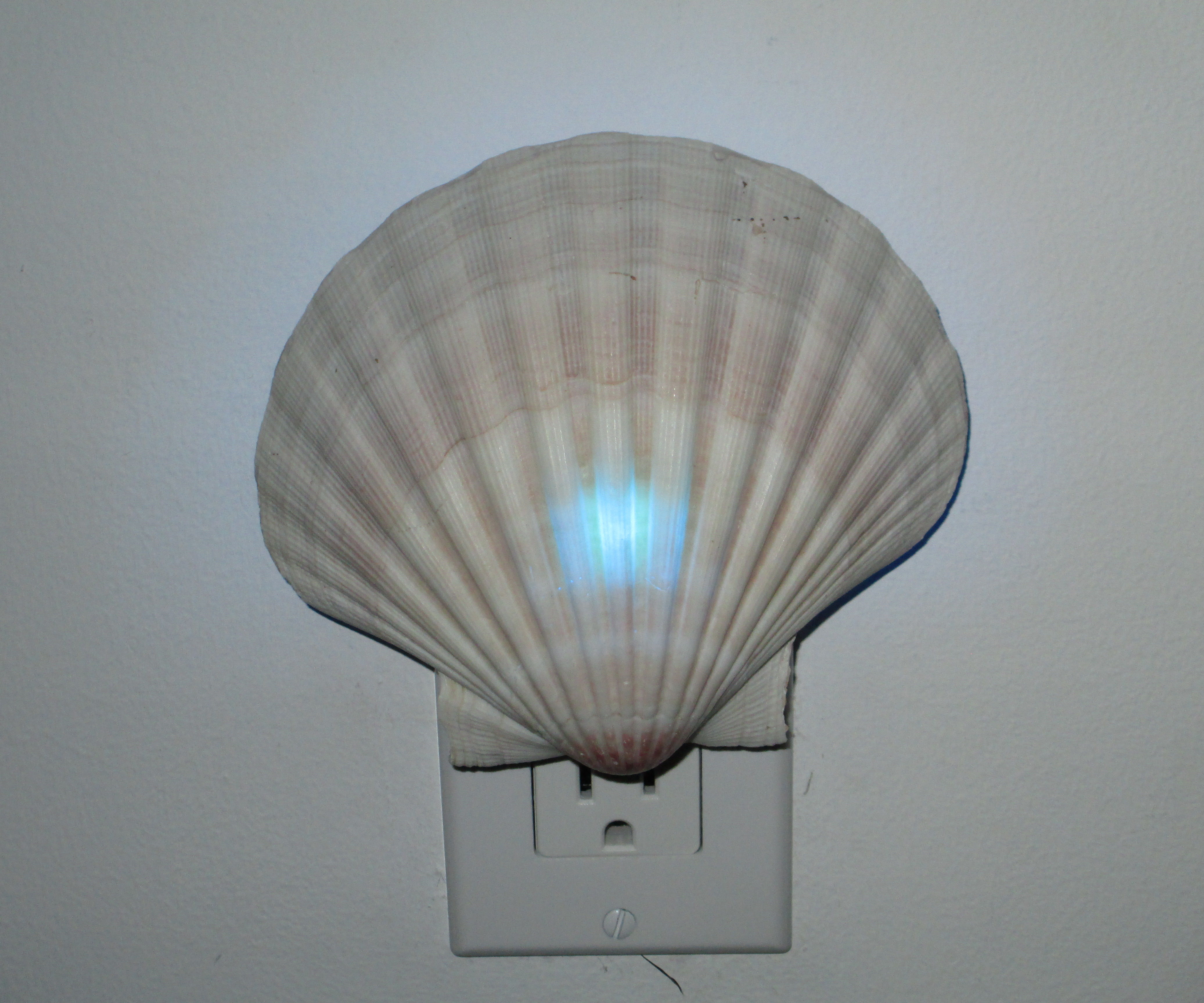 Color Changing Night Light 