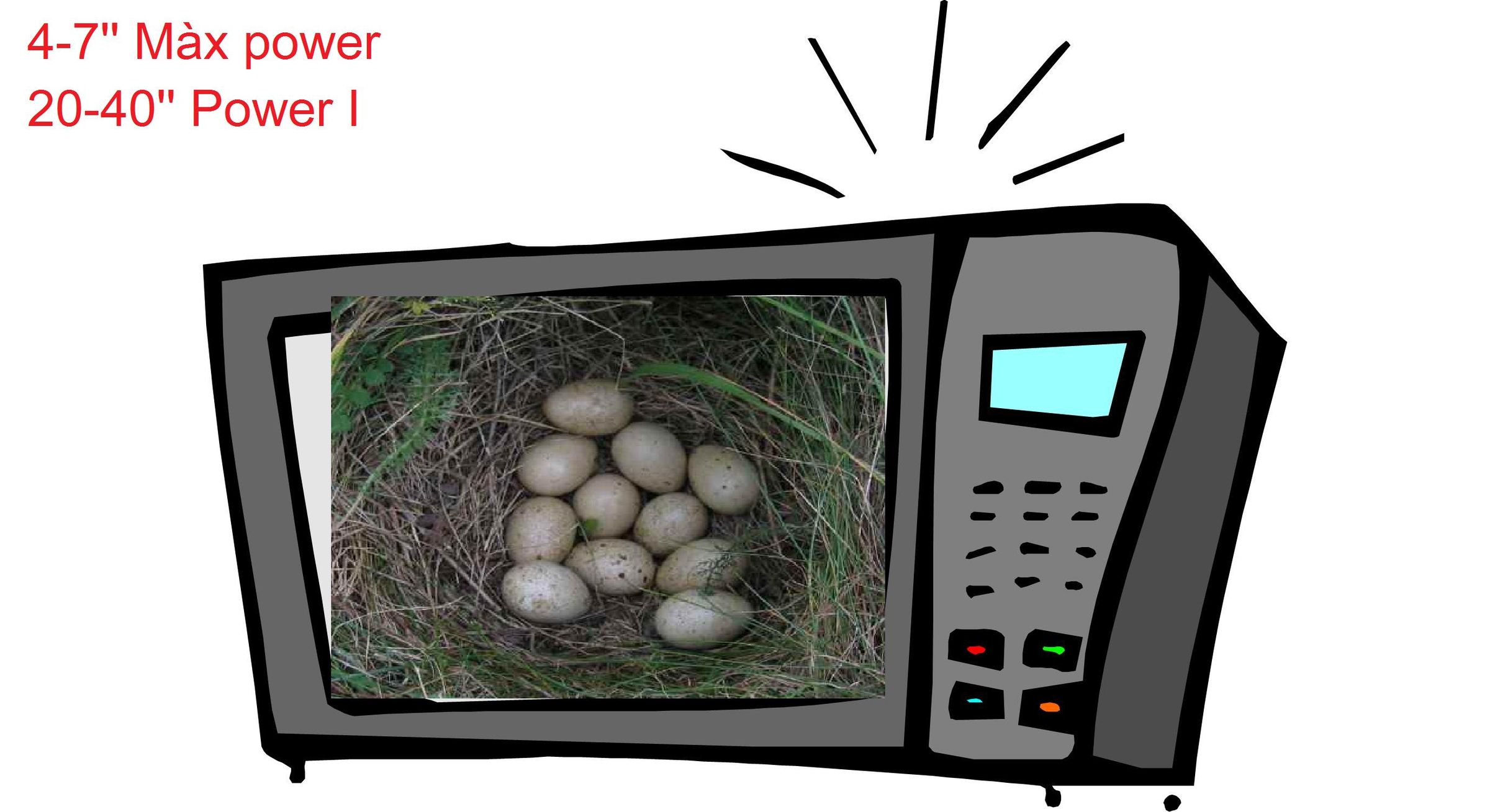 Ultra Fast Partridge Fired Eggs !