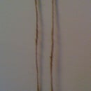 How to Make an Old Fashioned Sling