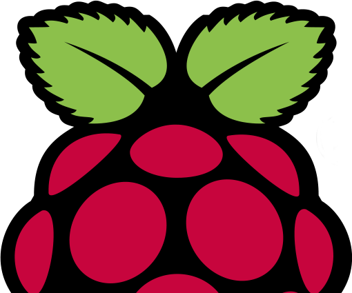 Setting Up a Vnc Server (Raspbian)