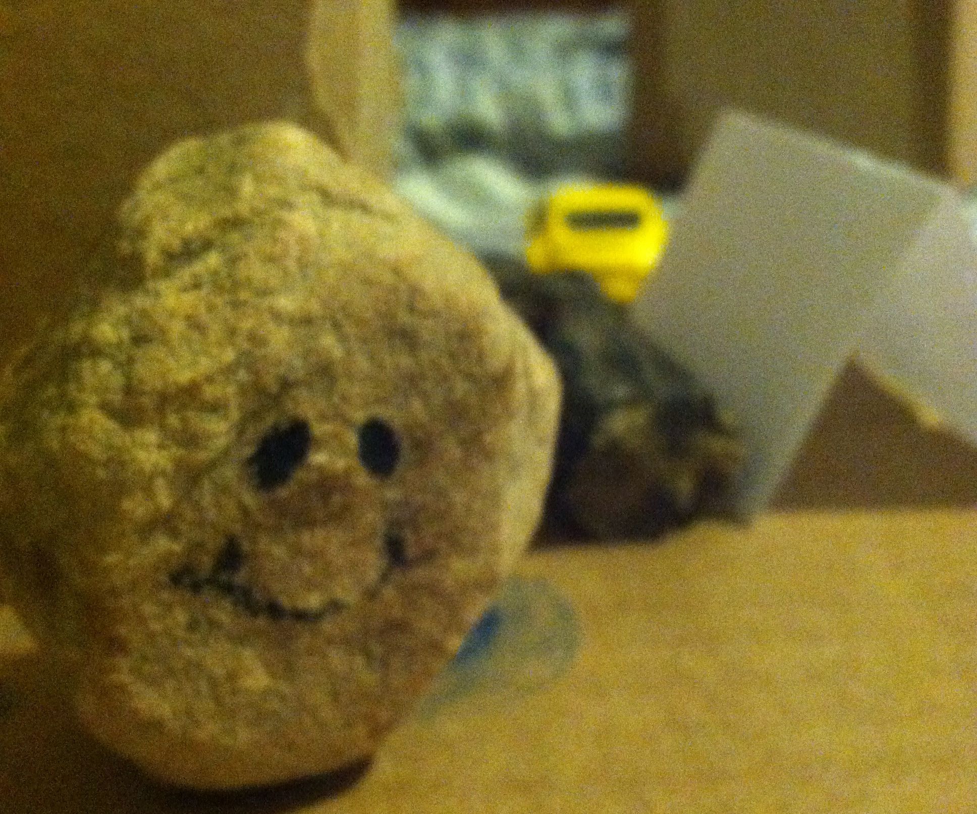 Guide to Pet Rocks: Part 1 
