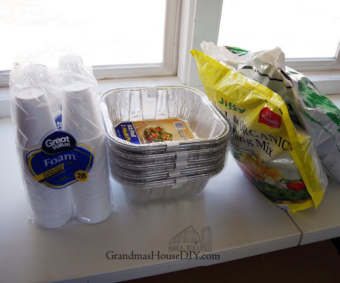 No Green House? No Problem! My Unconventional Solution That Worked Great!