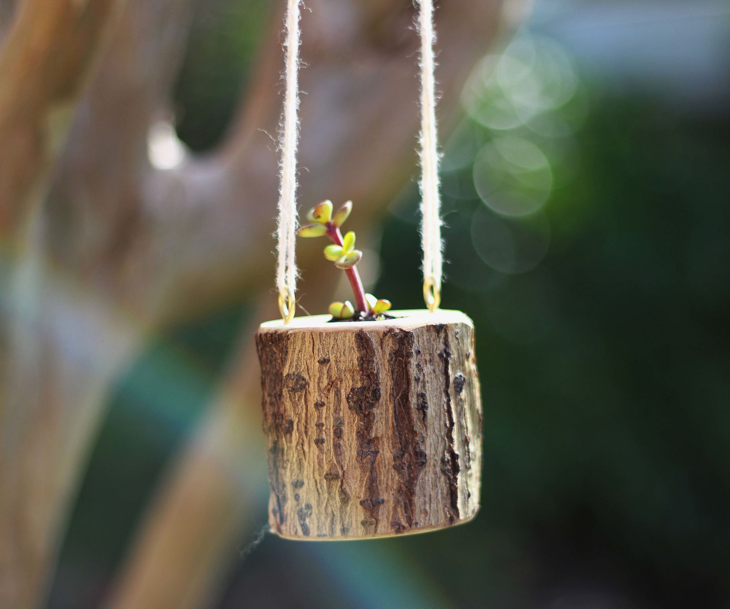 Firewood Planter