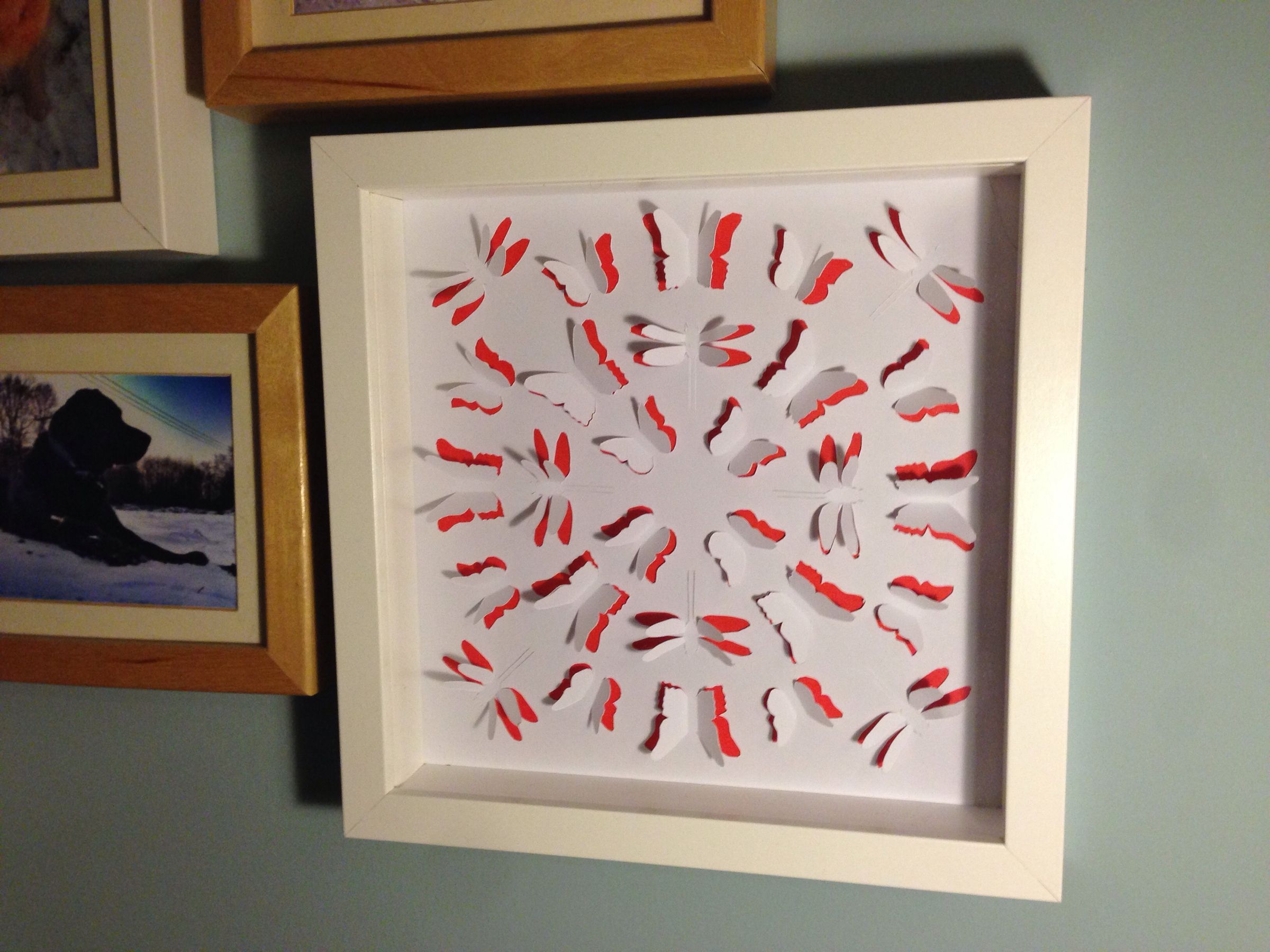 3D Butterfly Dragonfly Frame - Cut Stencil Art