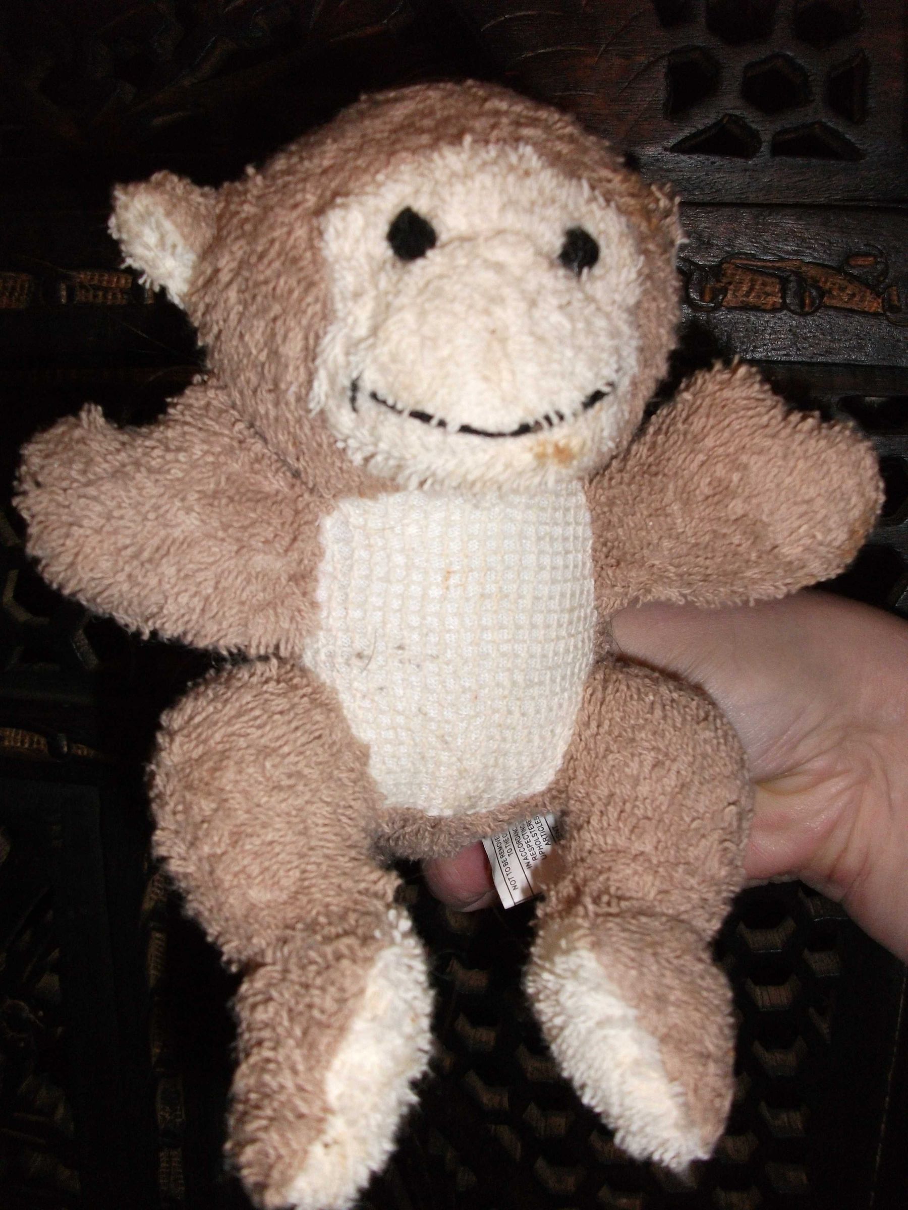 Mango, the Sock Monkey