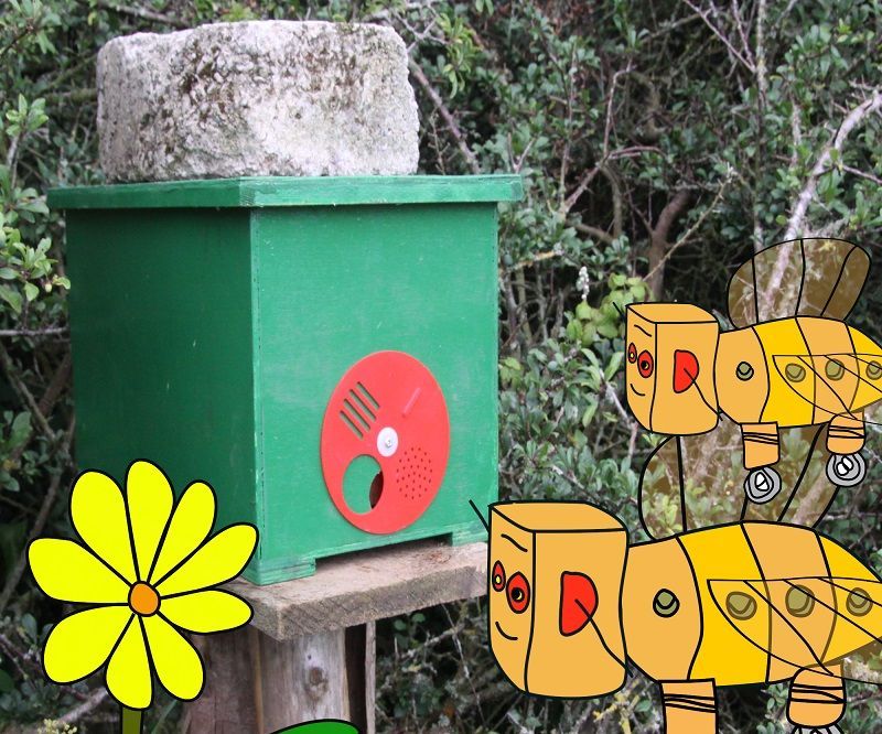 Plywood Honey Bee Swarm Bait Catch Hive and Nucleus Box - Dual Purpose How to DIY Plans