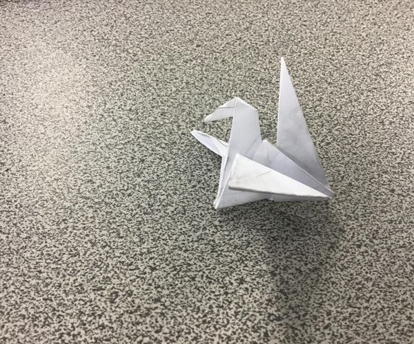 Origami Flapping Bird