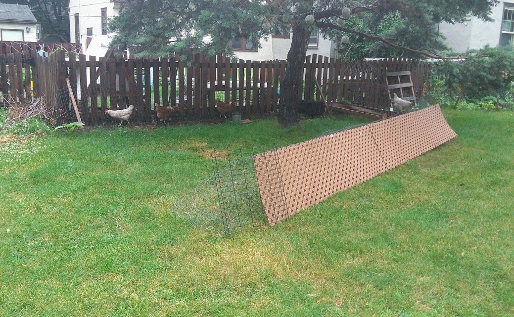 Rotating Run: Chicken Coop Extension : 9 Steps (with Pictures ...