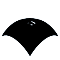 download {{ file.name }}