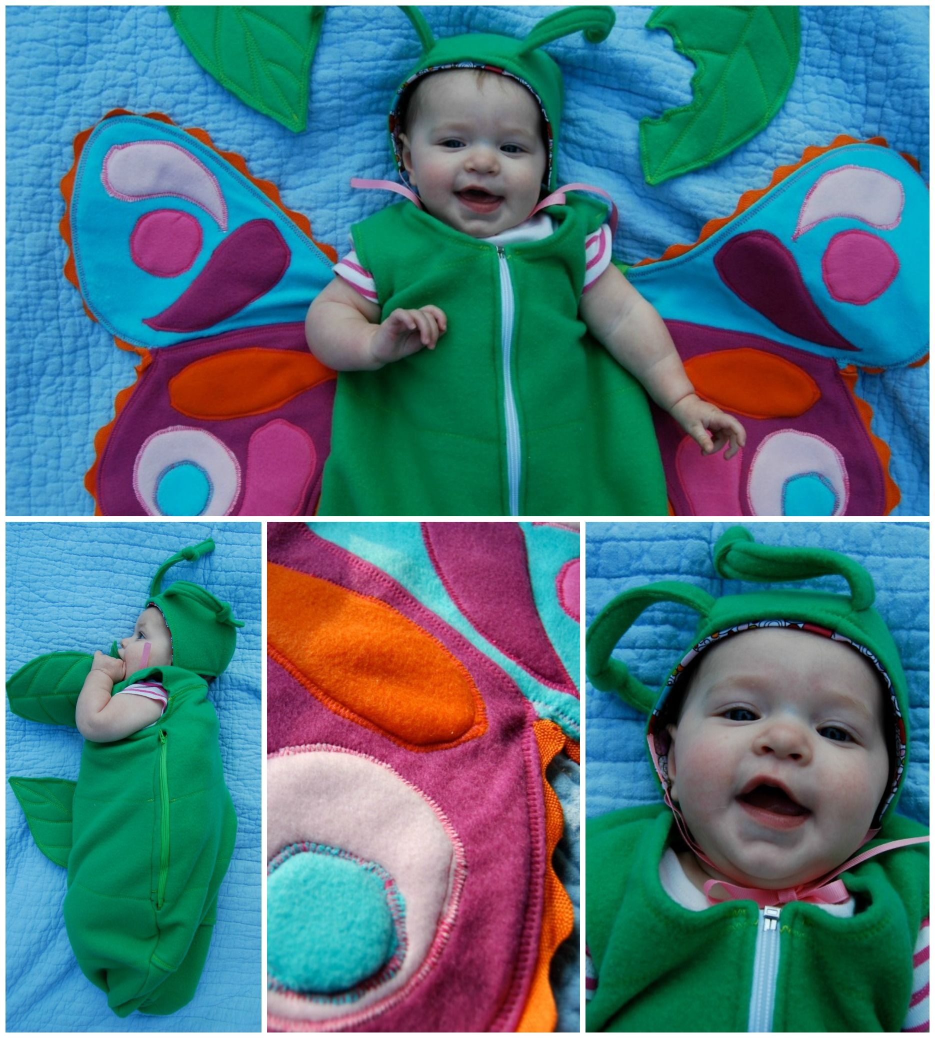 Caterpillar to Butterfly!