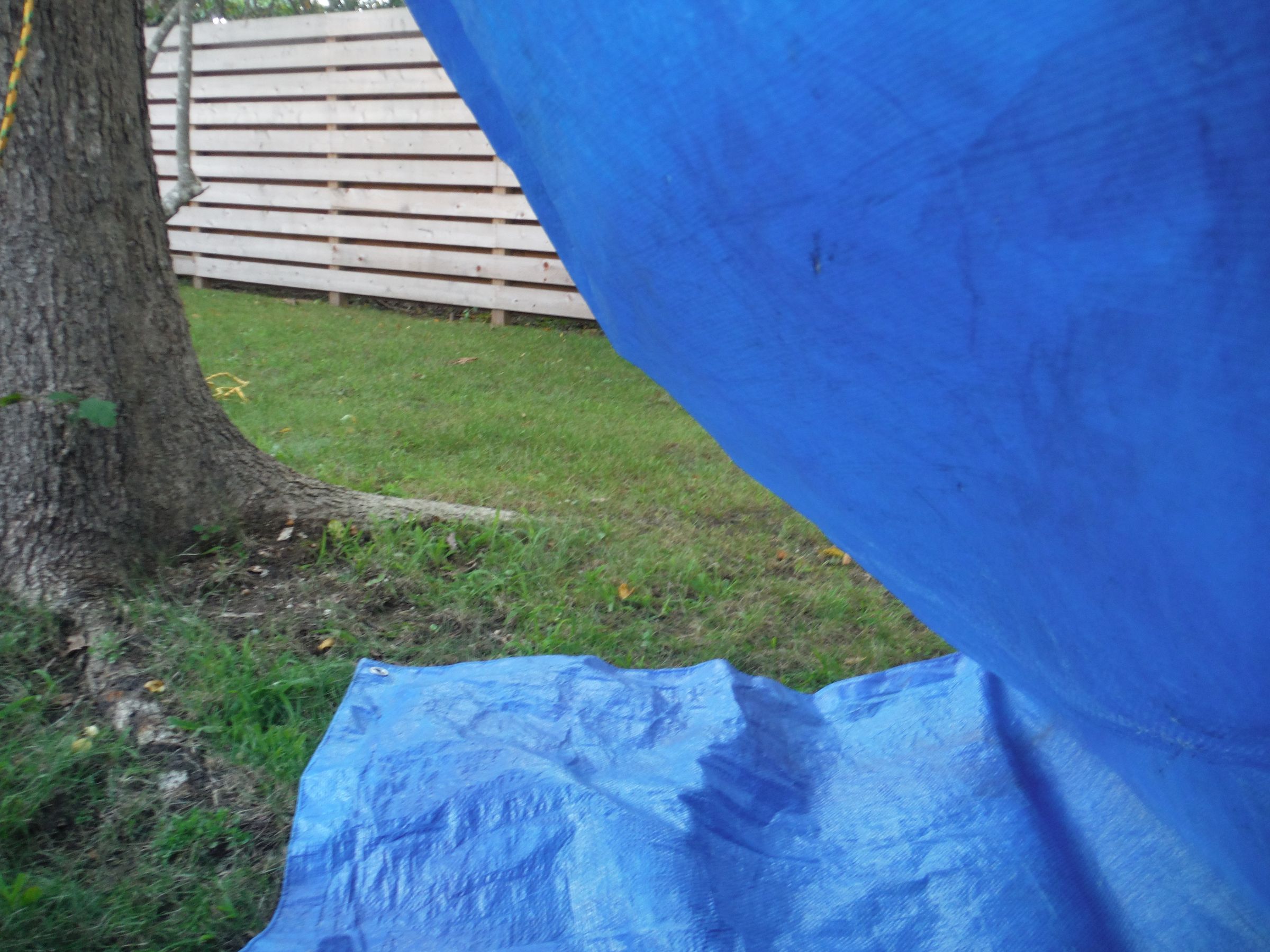 Trekking Pole Blue Tarp Tent 5 Steps (with Pictures) Instructables
