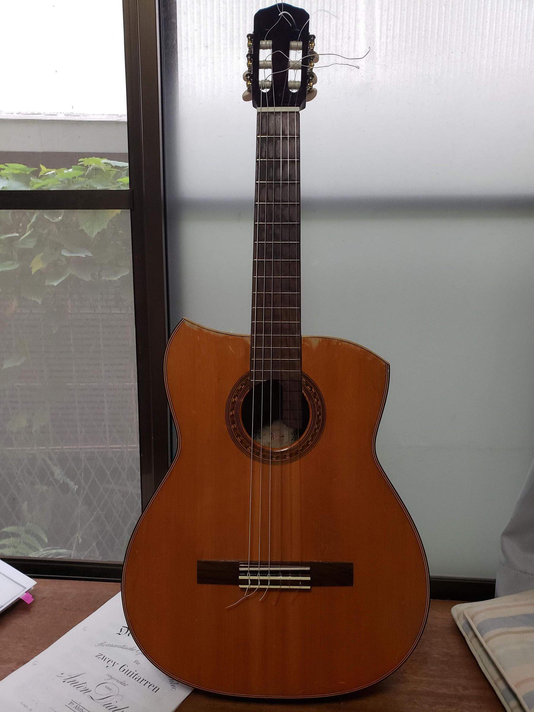 Converting a Classical Guitar Into a "Frankenstein" Terz Guitar (with
