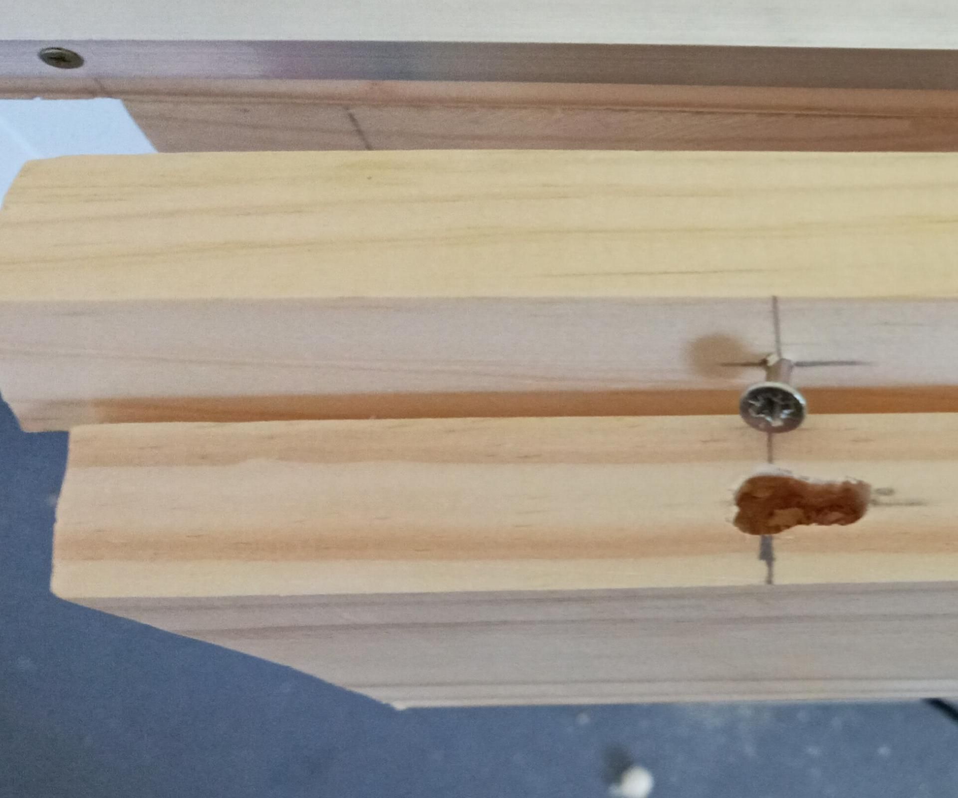 Silent Screw Technique