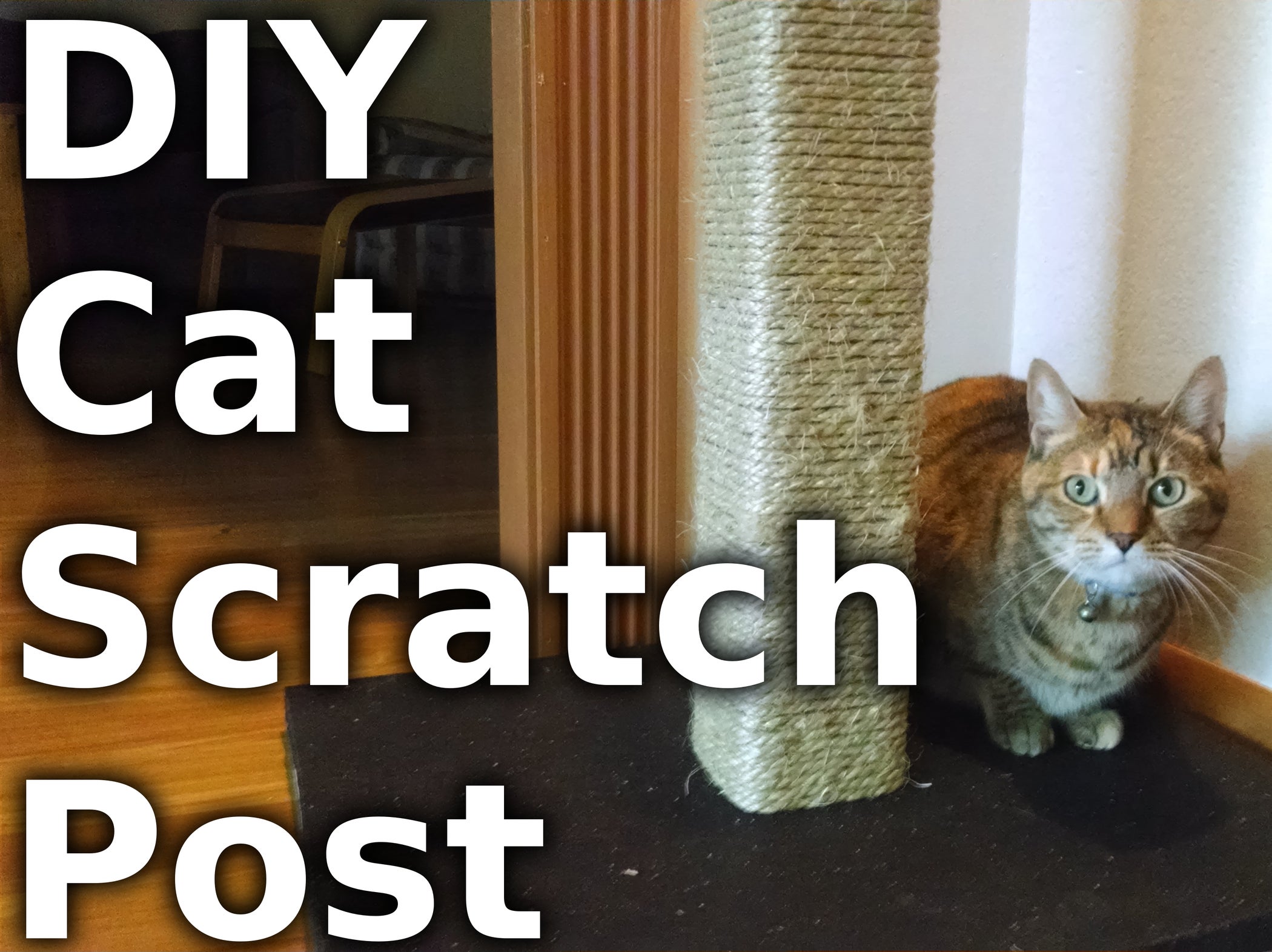 Make a Cat Scratching Post (with Pictures) Instructables