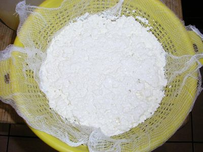 Kitchen Laboratory: Proteins and Cheese Making : 15 Steps (with ...