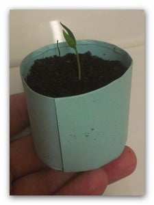 Recycling Paper to Make Seed Pots