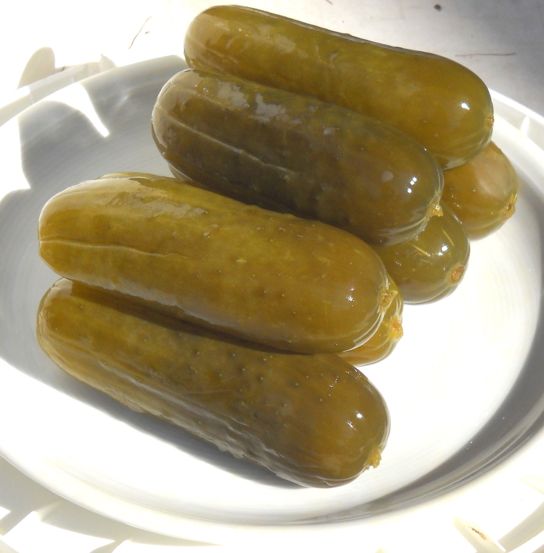 Old Fashioned Fermented Garlic Dill Pickles