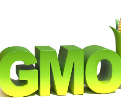 How to Make a GMO