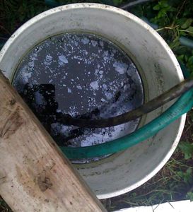 Algae to Oil - Simple Setup