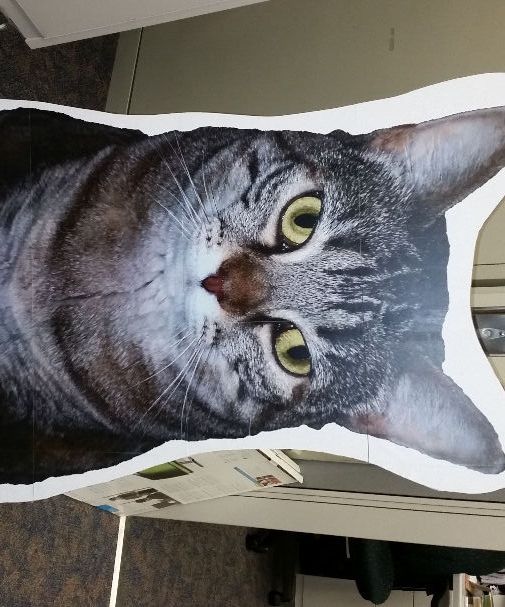 How to Make a Cardboard Standup