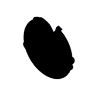 download {{ file.name }}