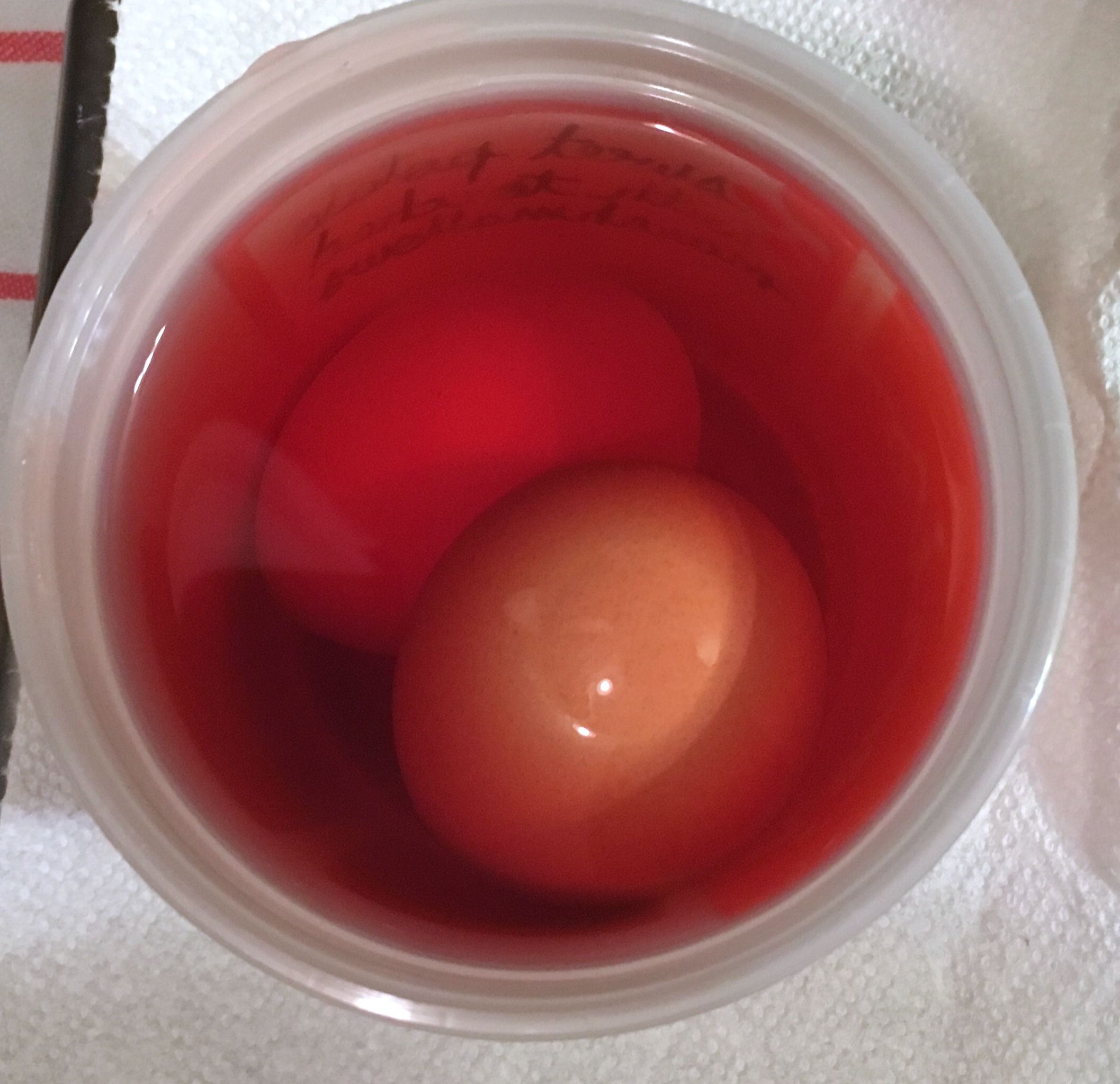 Natural Dye Easter Eggs 4 Steps (with Pictures) Instructables