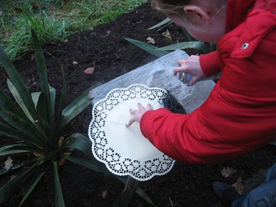 The Cake Doilies Have Fun Patterns