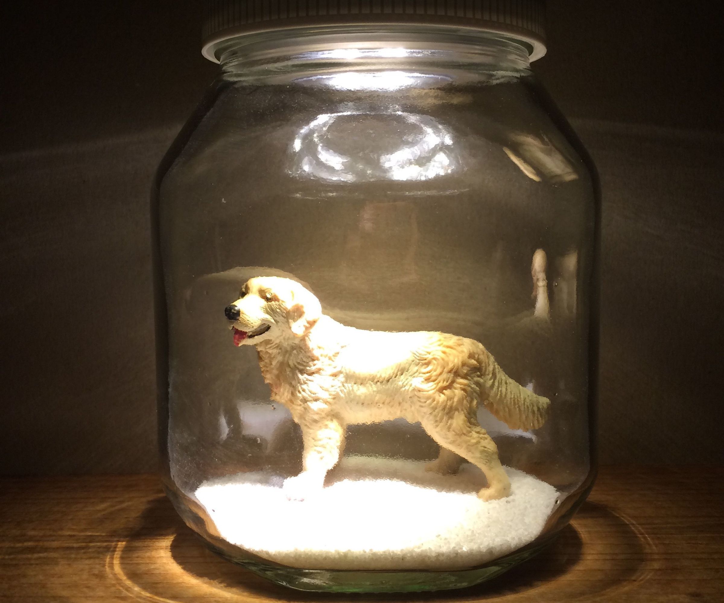 20 Minutes Jar Light 