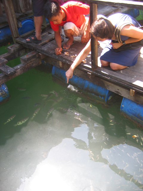 How to Feed a Spitting Jumpy Fish in Malaysia