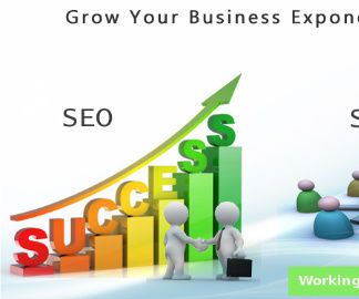 Working Procedure of Search Engine Optimization Company