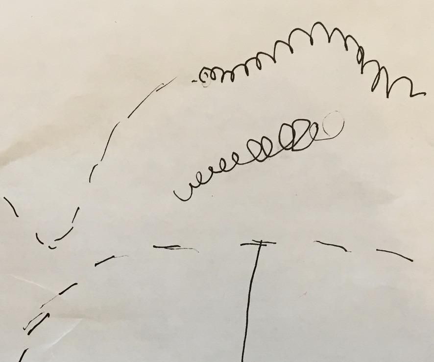 Observing and Recording Paper Airplane Flight