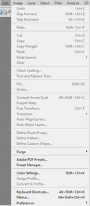 Edit Menu