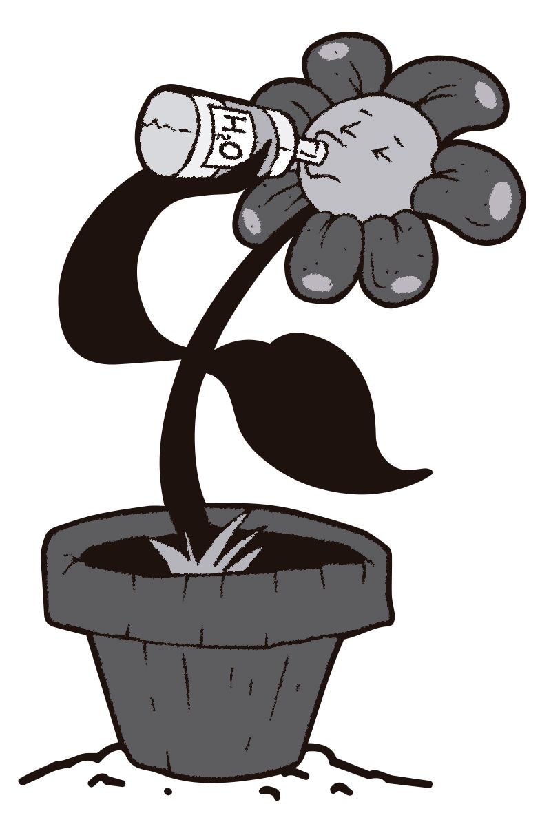 Automatic Flower Wateter