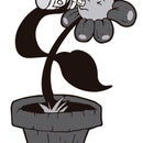 Automatic Flower Wateter