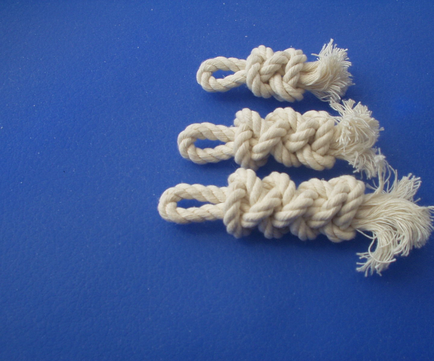 Two Strand Lanyard Knot (ABOK 784)