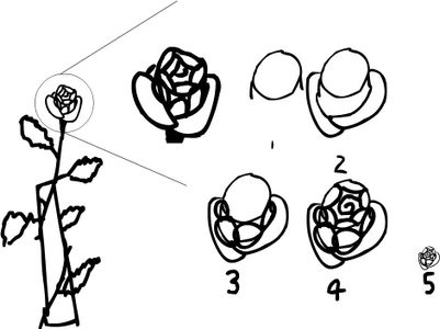 Roses