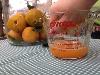 Zest, Juice, & De-seed