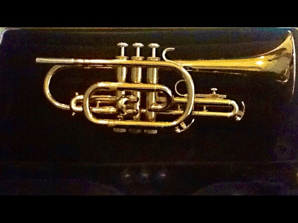 Basic Maintenance of a Cornet