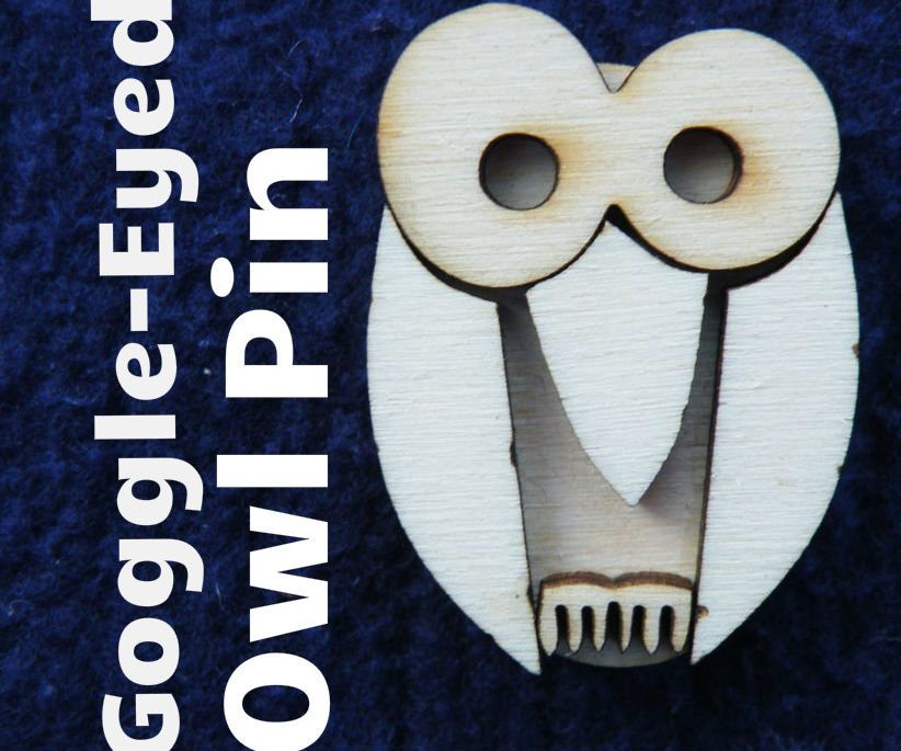 Make a Goggle-Eyed Owl Pin