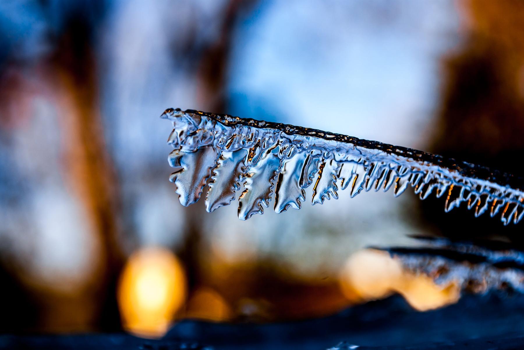 Ice Photography: Mind-blowing Macro : 14 Steps (with Pictures ...