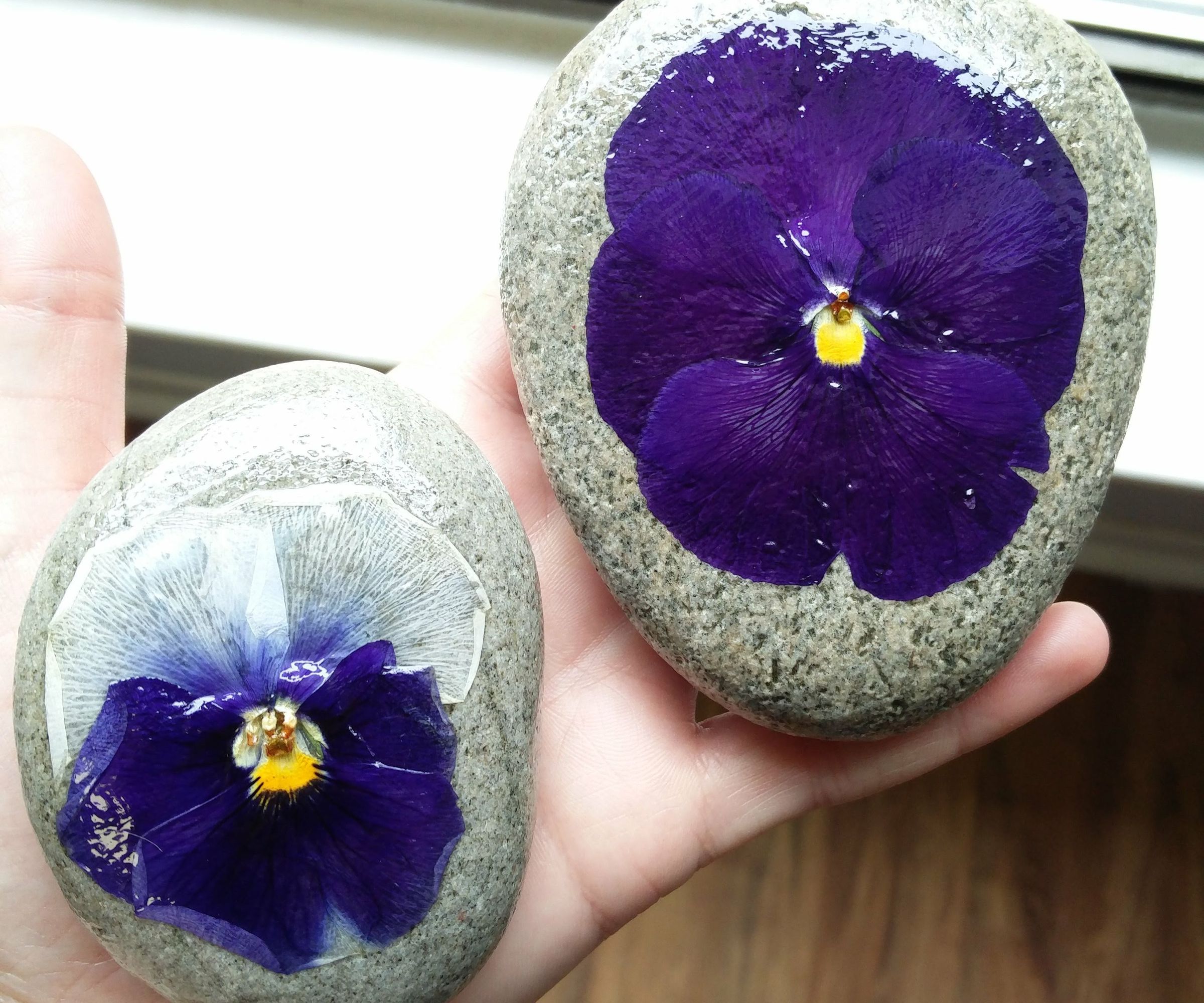 Pressed Flower Rocks