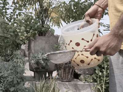 Eco-Friendly Visarjan (Immersion)