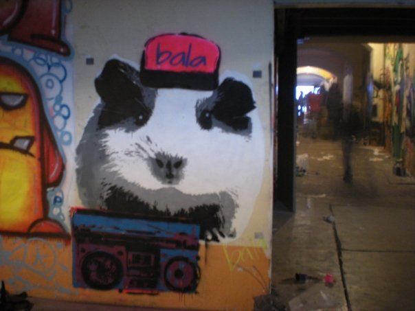 Guinea Pig Stencil