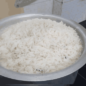 Cook Rice