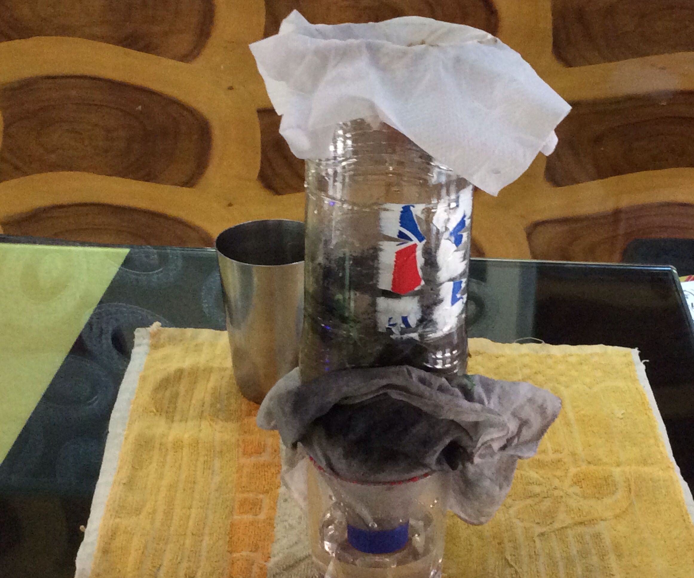 Homemade Water Purifier