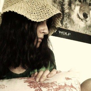 Rainy Day Wolf